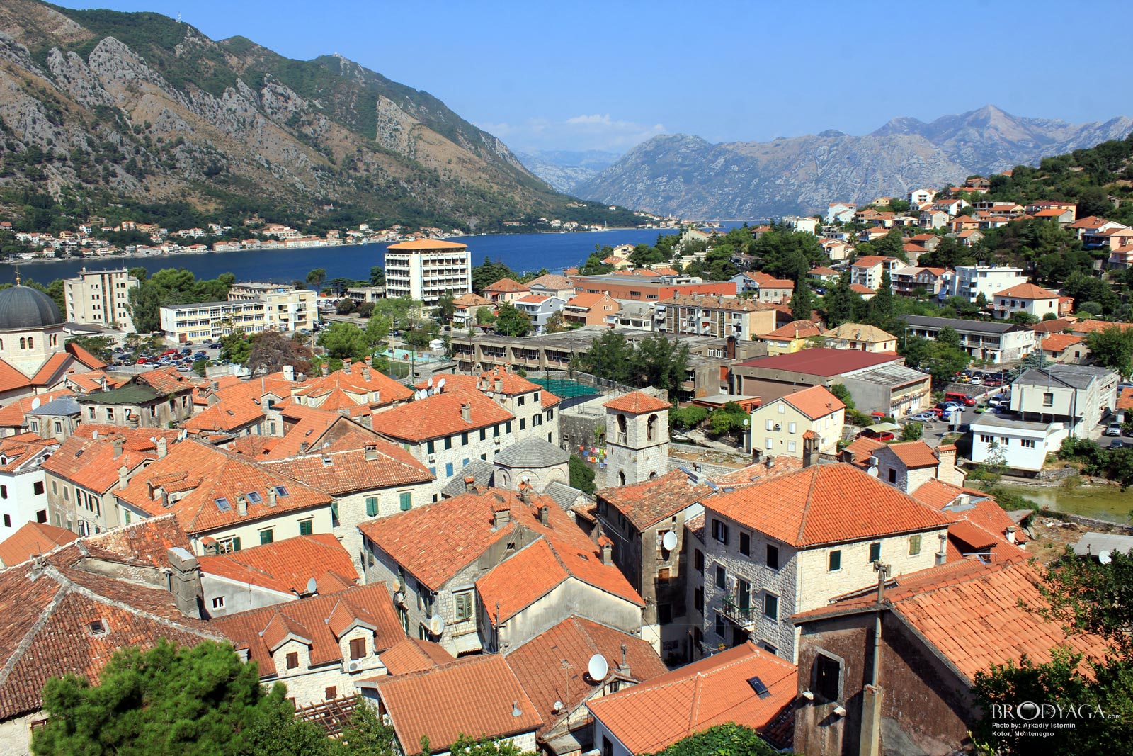 Kotor
